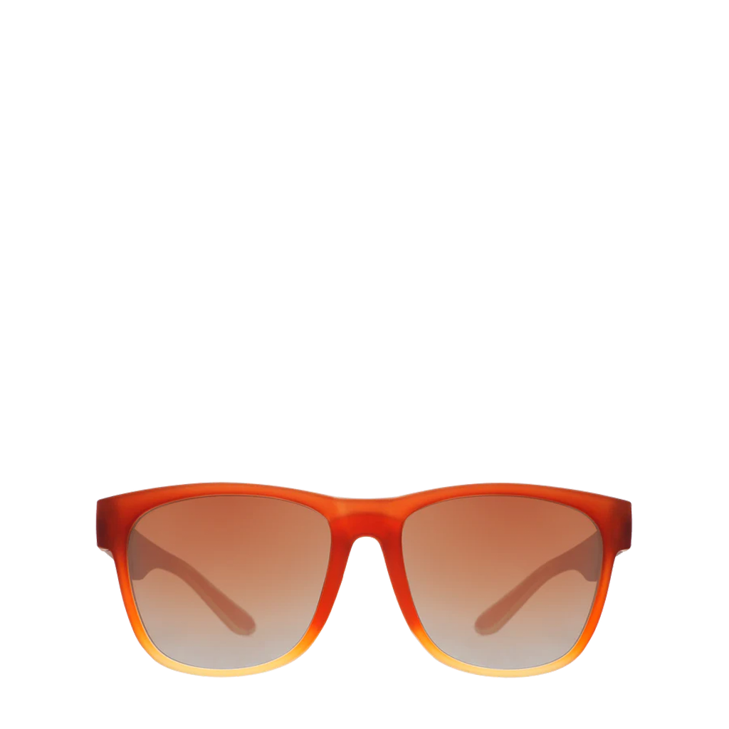 Bacon sunglasses sales