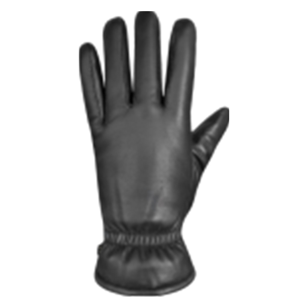 Auclair Demi Gloves - Shoetopia Footwear