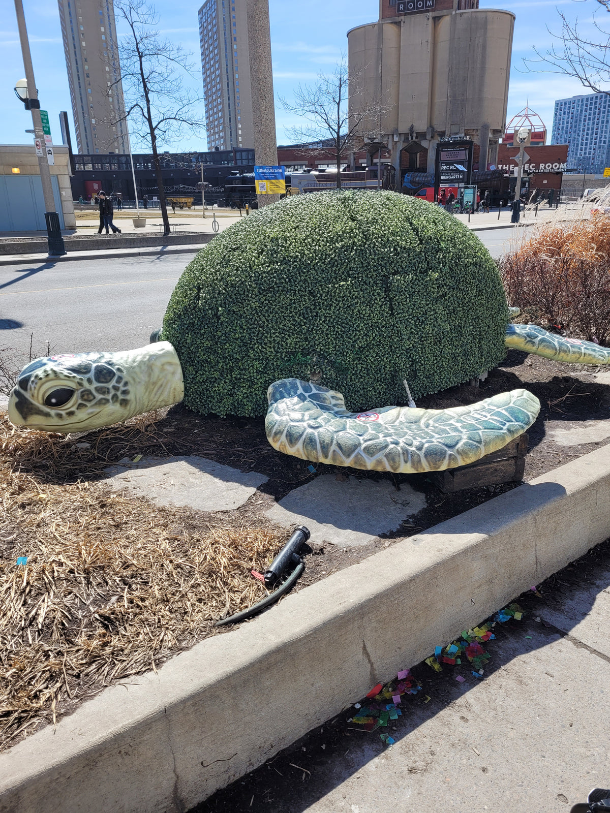 Ripley's Aquarium - Shoetopia Footwear