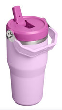 Stanley The IceFlow Flip Straw 2.0 Tumbler 20oz - Shoetopia Footwear