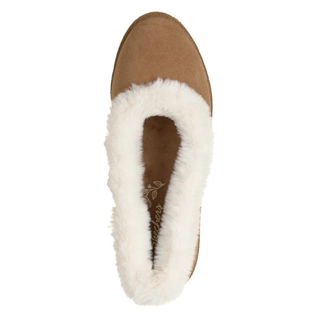 Skechers Cozy Ballet Chestnut - Shoetopia Footwear
