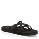 TEVA OLOWAHU - Shoetopia Footwear