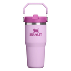 Stanley The IceFlow Flip Straw 2.0 Tumbler 20oz - Soft Orchid - Shoetopia Footwear