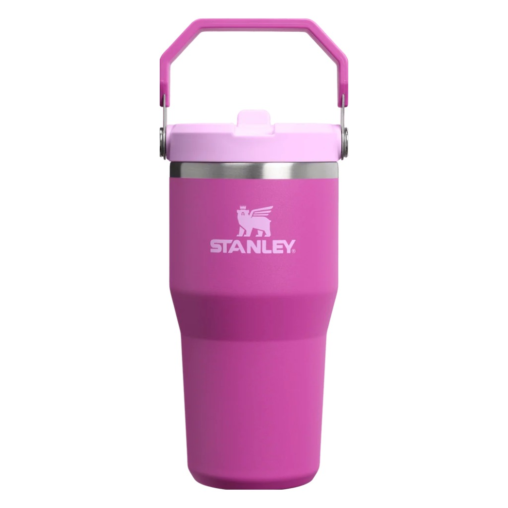 Stanley The IceFlow Flip Straw 2.0 Tumbler 20oz - Dark Blossom - Shoetopia Footwear